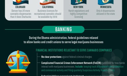 infographic about cannabis and marijuana legalization