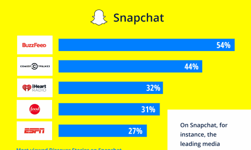 infographic describes Rise of the Social Network Story