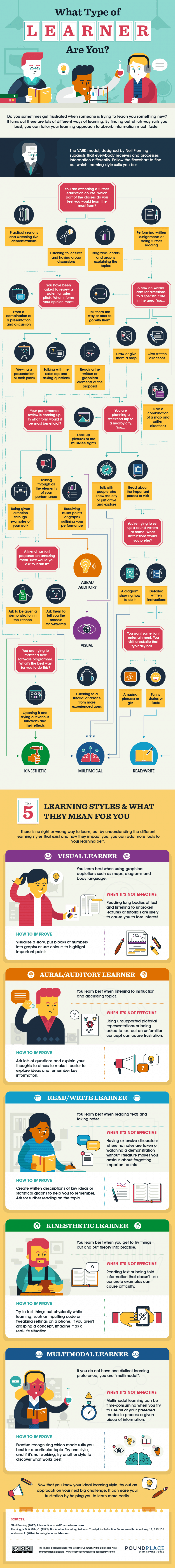 Infographic on Learn Styles