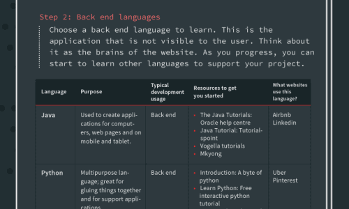 Web Developer - Infographic