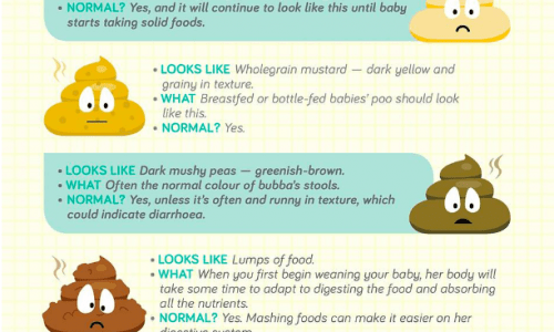 baby poop infographic