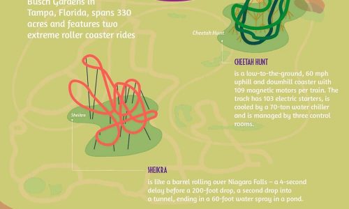 amusement parks engineering infog