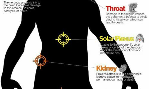 areas to target in a fight infographic