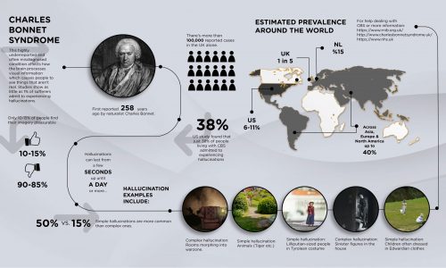 Charles Bonnet Syndrome reported cases hallucination descriptions