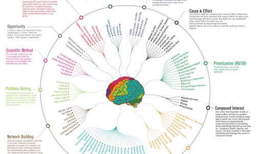 Maximizing Your Brain's Capacity