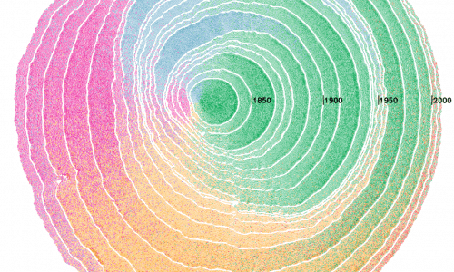 tree rings and immigration