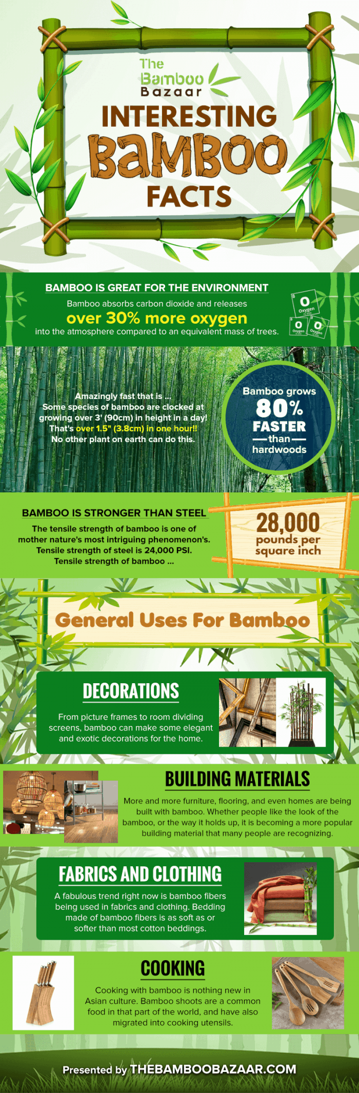 amazing bamboo facts