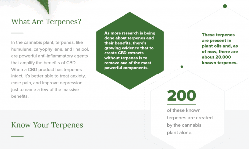 terpenes in cbd