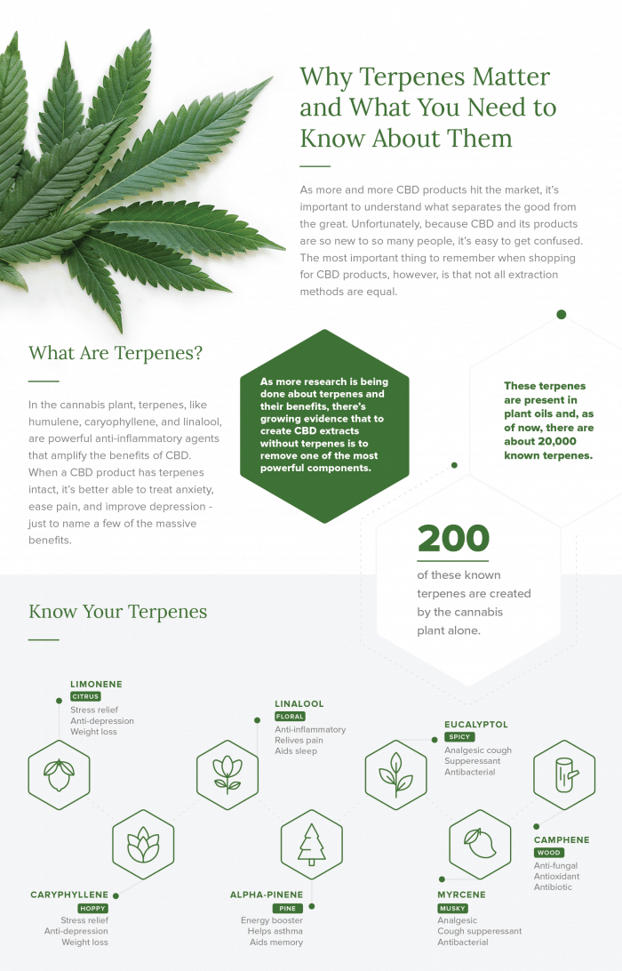 terpenes in cbd