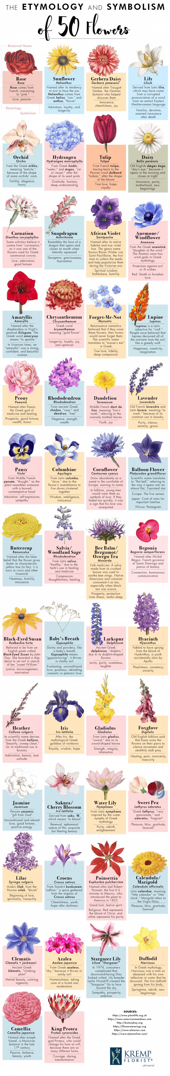 50 Kinds of Flowers and Their Meanings