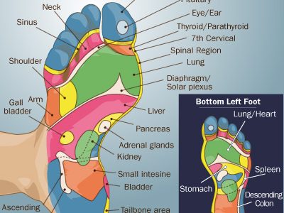 Reflexology