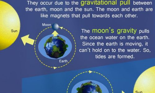 How Waves are Formed