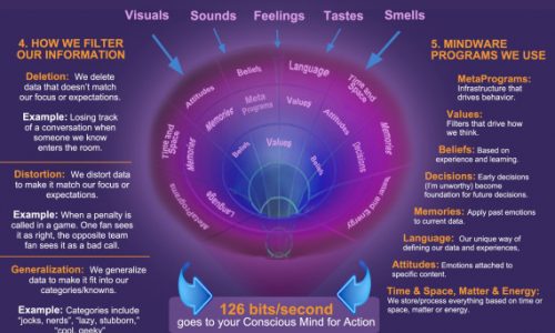 Insight Into The Workings of the Quantum MInd