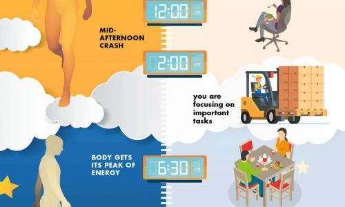 Chart comparing natural body clock times and daily life expectations