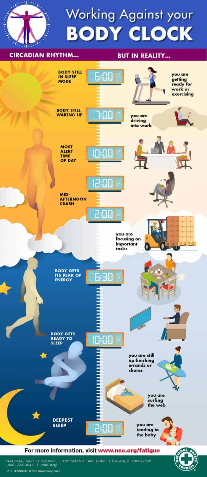 Chart comparing natural body clock times and daily life expectations