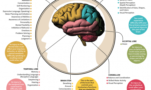 Brain Injuries