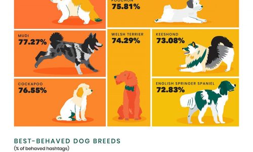 worst dog breeds