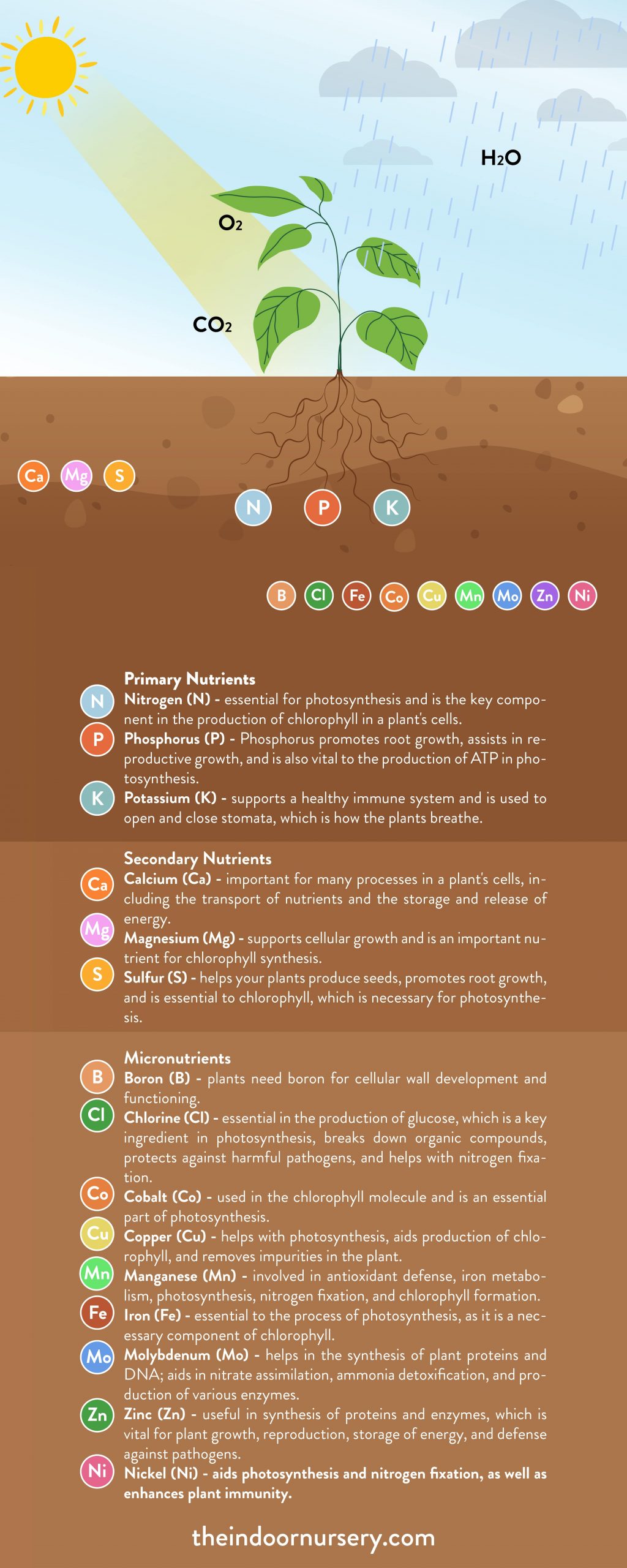 plant nutrients infographic-min