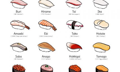 sushi-guide