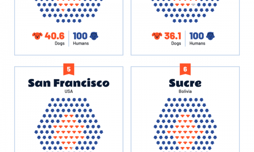 which cities have the most dogs