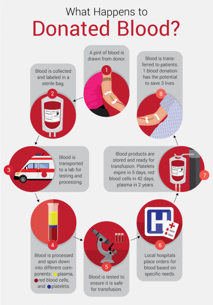 Guide To What Happens After You Give Blood