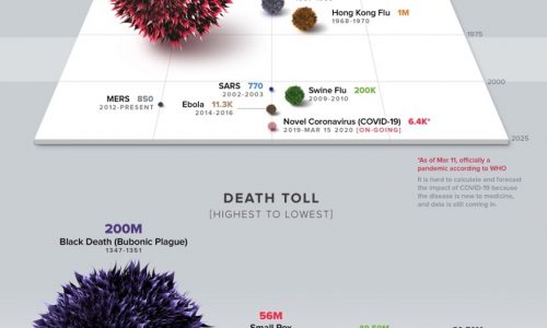 History of Pandemics