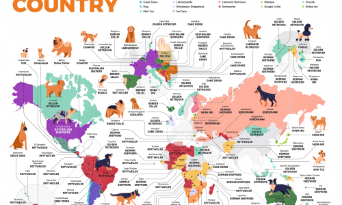 Most Popular Dog Breeds by Country