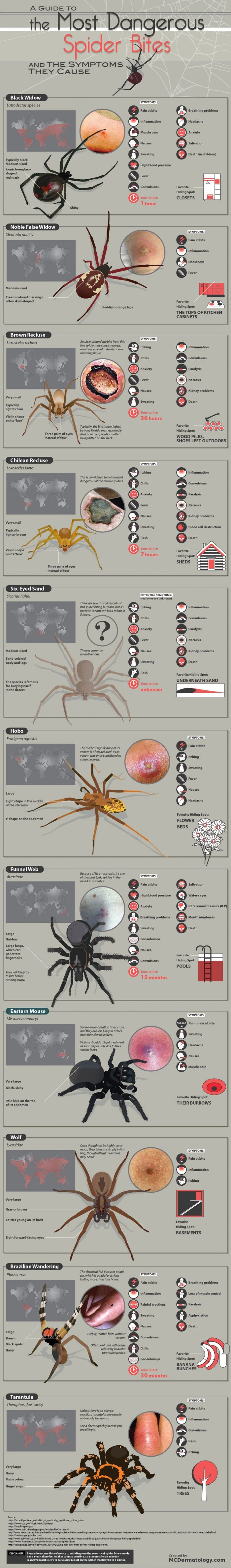 most dangerous spider bites