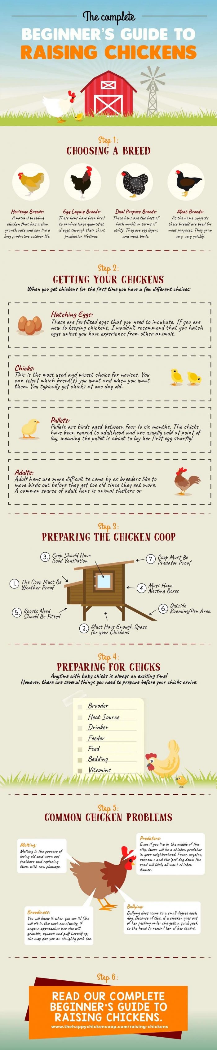 Guide To Raising Backyard Chickens