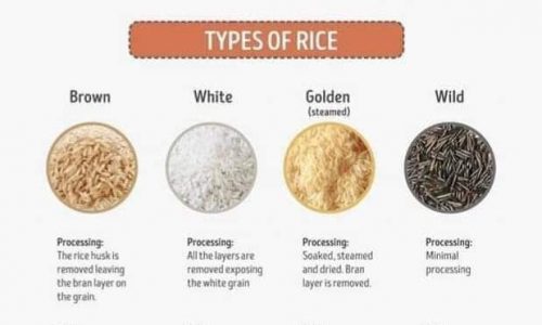 Different Types of Grains & Rice