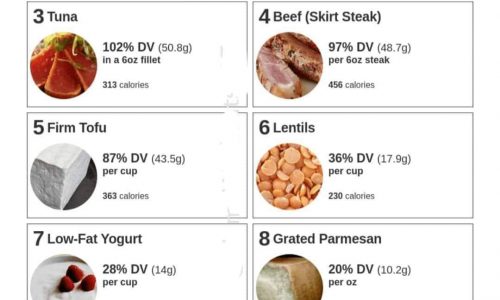 foods highest in protein