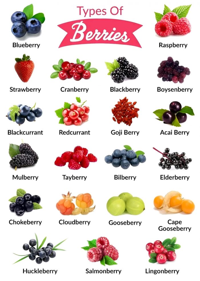 Types of Berries