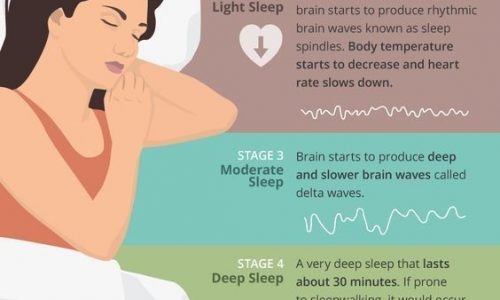 Five Stages Of Sleep