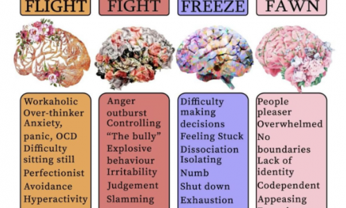 Types Of Trauma Responses