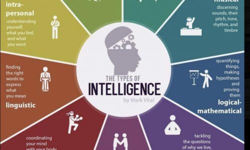 Types Of Intelligence