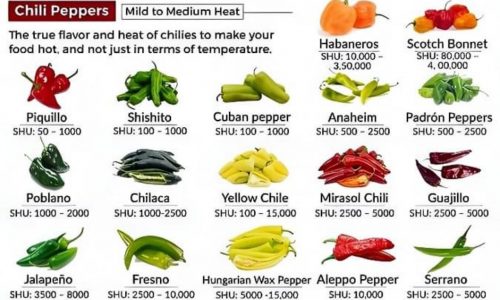 Types Of Peppers