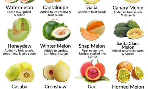 Types of Melons