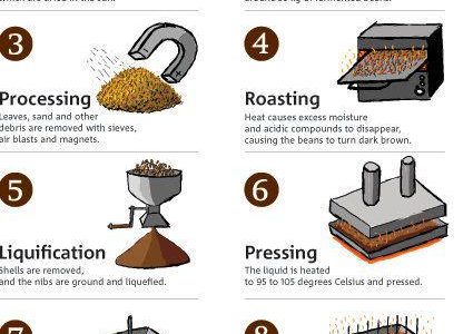 How Chocolate is Made