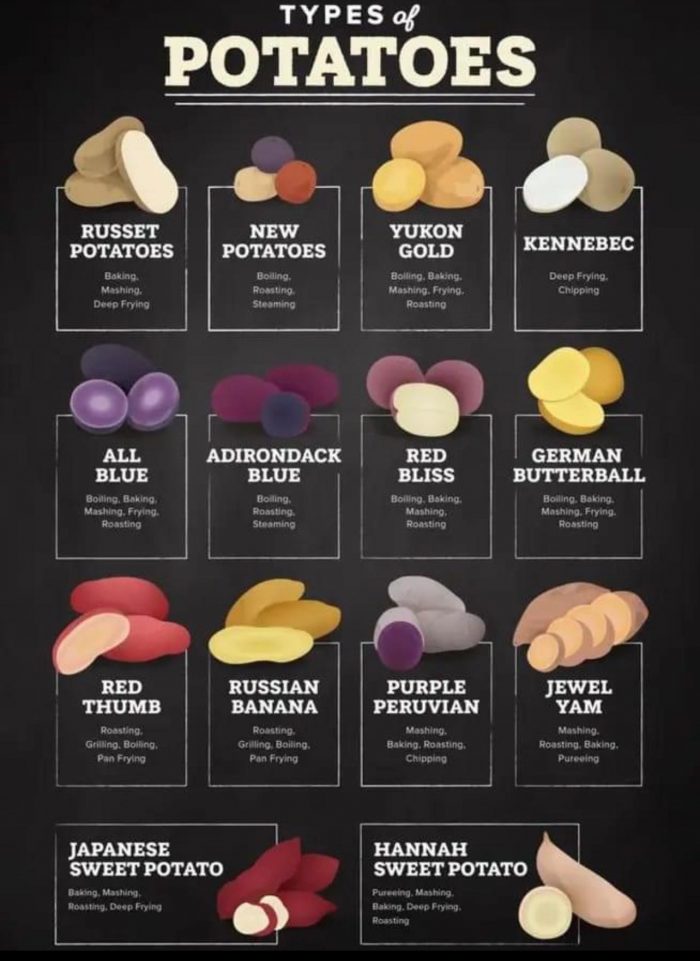 Types of Potatoes